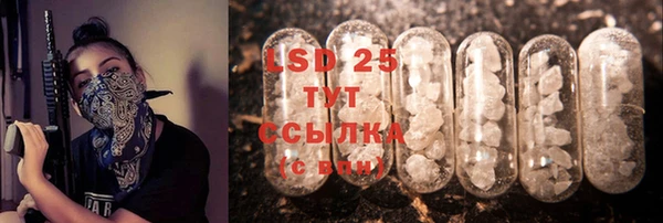 прущие грибы Белоозёрский