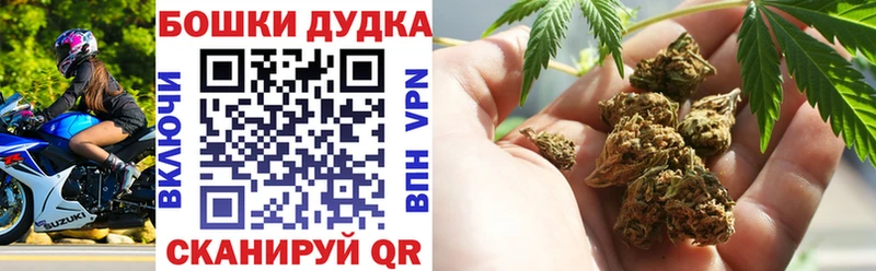KRAKEN ССЫЛКА  наркошоп  Тихорецк  нарко площадка клад  Бошки марихуана ГИДРОПОН 